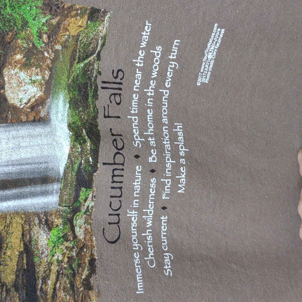 Gildan Advice From Nature - Ohiopyle State Park Cotton Brown SS Graphic Tee NWT - Picture 5 of 15